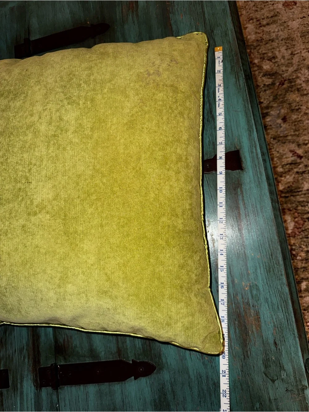 Set of 2 Pier 1 Throw Pillows in Sage